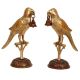 Elegent pair of Brass Parrot Bird Showpiece with welcome bells Decorative appeling Statue Colorful Figurine perfect finished Table Decor