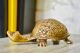 Aakrati Tortoise Shaped Brass Figurine For Decoration and table peper weight